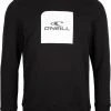 O'Neill Cube Sweat Col Ras-Du-Cou Homme, gris