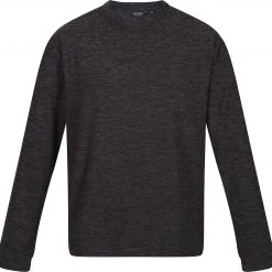 Regatta Leith Pullover Men, gris